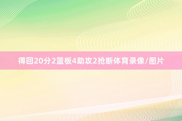 得回20分2篮板4助攻2抢断体育录像/图片