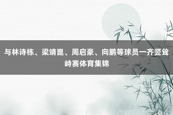 与林诗栋、梁靖崑、周启豪、向鹏等球员一齐竖耸峙赛体育集锦